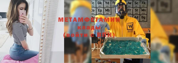 ГАЛЛЮЦИНОГЕННЫЕ ГРИБЫ Ельня