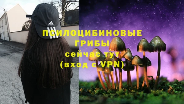 МДПВ Дмитровск
