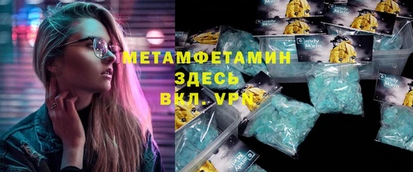 ГАЛЛЮЦИНОГЕННЫЕ ГРИБЫ Ельня