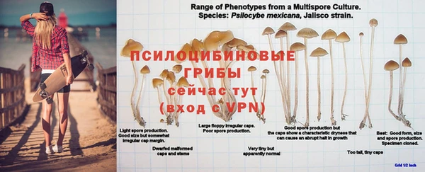 винт Дмитров