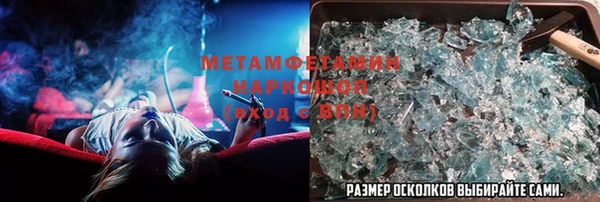 ГАЛЛЮЦИНОГЕННЫЕ ГРИБЫ Ельня