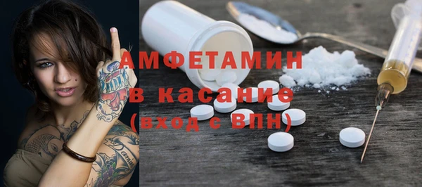 ГАЛЛЮЦИНОГЕННЫЕ ГРИБЫ Ельня